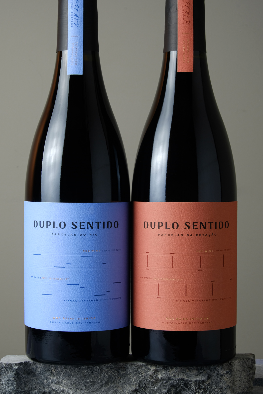 duplosentido
